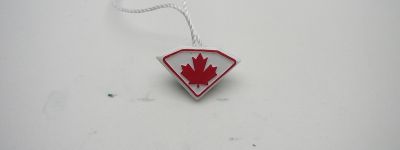 Custom Shape Jewelry Plastic Tag